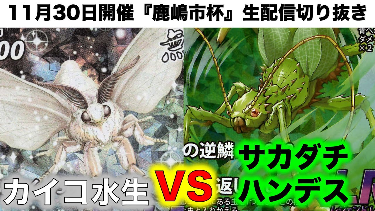 蟲神器水生昆虫パラワンオオヒラタクワガタカイコ