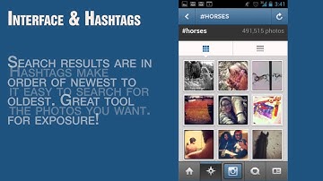 Instagram Tutorial AV2 | Jayne Wayne Design