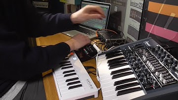 ARTURIA: Keystep Controller Setup and Quick Jam (Blue Monday)