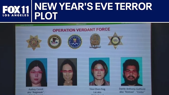 Security expert breaks down thwarted New Year’s Eve terror plot  | FOX 11 LA