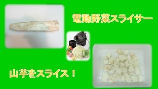 業務用電動スライサーで山芋をスライス