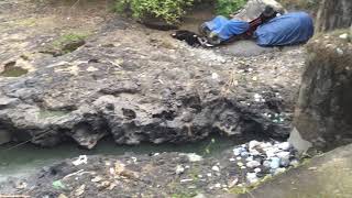 Jembatatan brantas kepanjen. Truk molen nyemplung kali