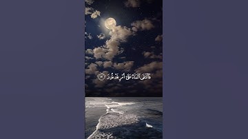 تلاوة خاشعة وراحة نفسية الشيخ ماهر المعيقلي (فدعا ربه أني مغلوب فانتصر@  #quran #ماهر_المعيقلي