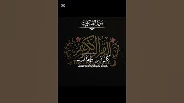 � ياعبادي الذين آمنوا إن أرضي واسعة | تلاوة مؤثرة من سورة العنكبوت بصوت الشيخ عبد الرحمن مسعد