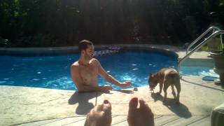 Doug And Q 2011 Pool