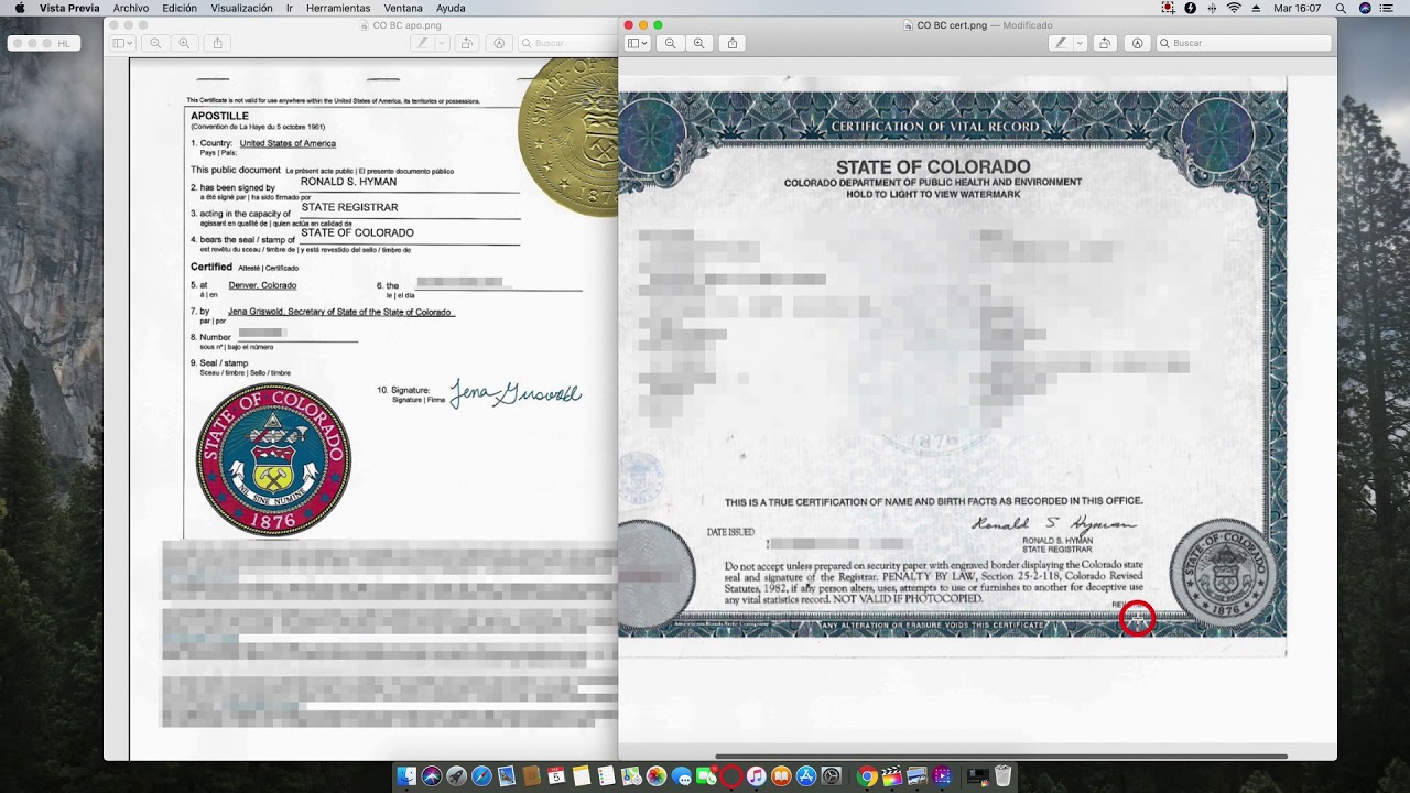 Colorado Birth Certificate | TUTORE.ORG - Master of Documents