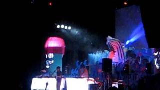 Animal Collective - Lion in a Coma (live at Prospect Park 2009)