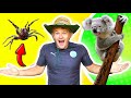 Creatures of Australia Fitness Quiz