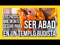 🈯Cómo 🕉️TENER TU NOMBRE BUDISTA🕉️ y los 🎖️⛩️RANGOS JERÁRQUICOS ⛩️🎖️I Budismo Para Principiantes I