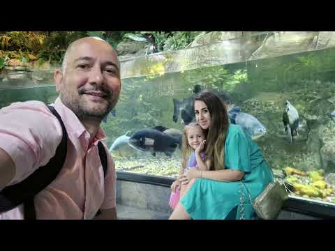 Raina – Adventures at Dubai Aquarium and Underwater Zoo 2024