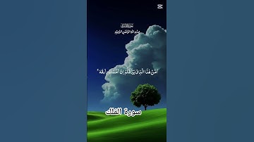سورة الملك #اكسبلور #vues #اكسبلور #لايك #تيك_توك #duet #دويتو #تصويري