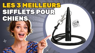 Les 3 meilleurs sifflets pour chiens 2025: découvrez l'offre la plus fiable du marché