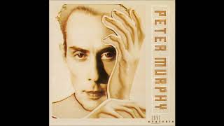 Peter Murphy - Socrates The Python (1988)