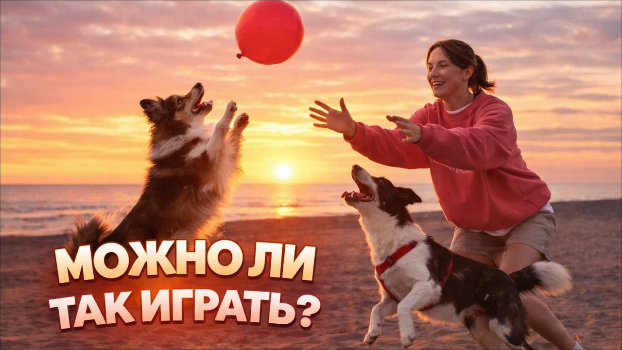 УЧИМ СОБАКУ ИГРАТЬ В ВОЗДУШНЫЙ ШАРИК