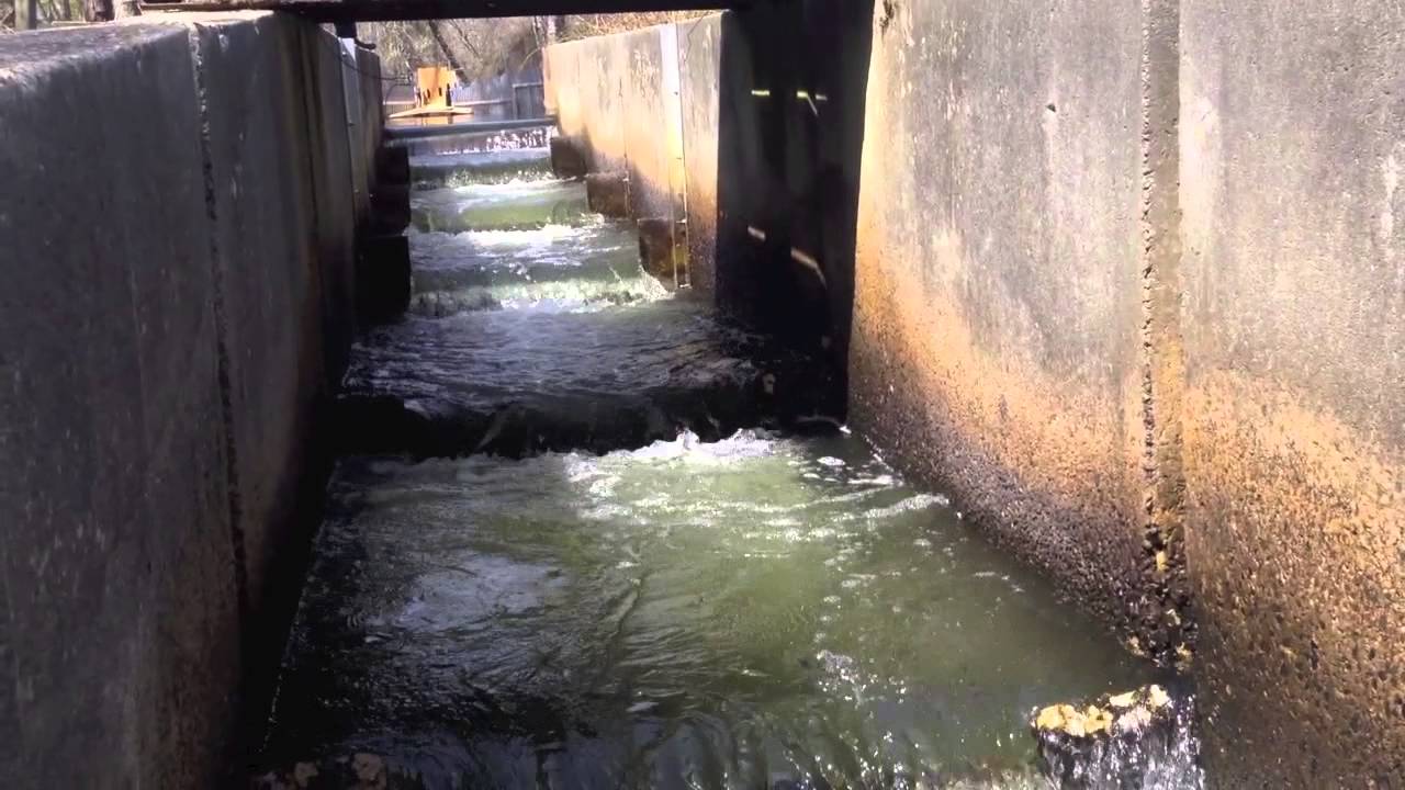 Herring River Harwich MA Cape Cod April 2014 YouTube