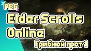 TESO | Танкуем данжи | Грибной грот 1  (Fungal Grotto 1)