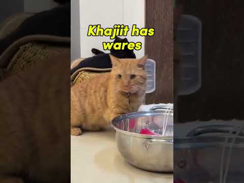 Khajiit Has Wares... And a Bowl 😂 🐱