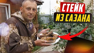 Стейк из сазана, лучший рецепт, рыба на мангале