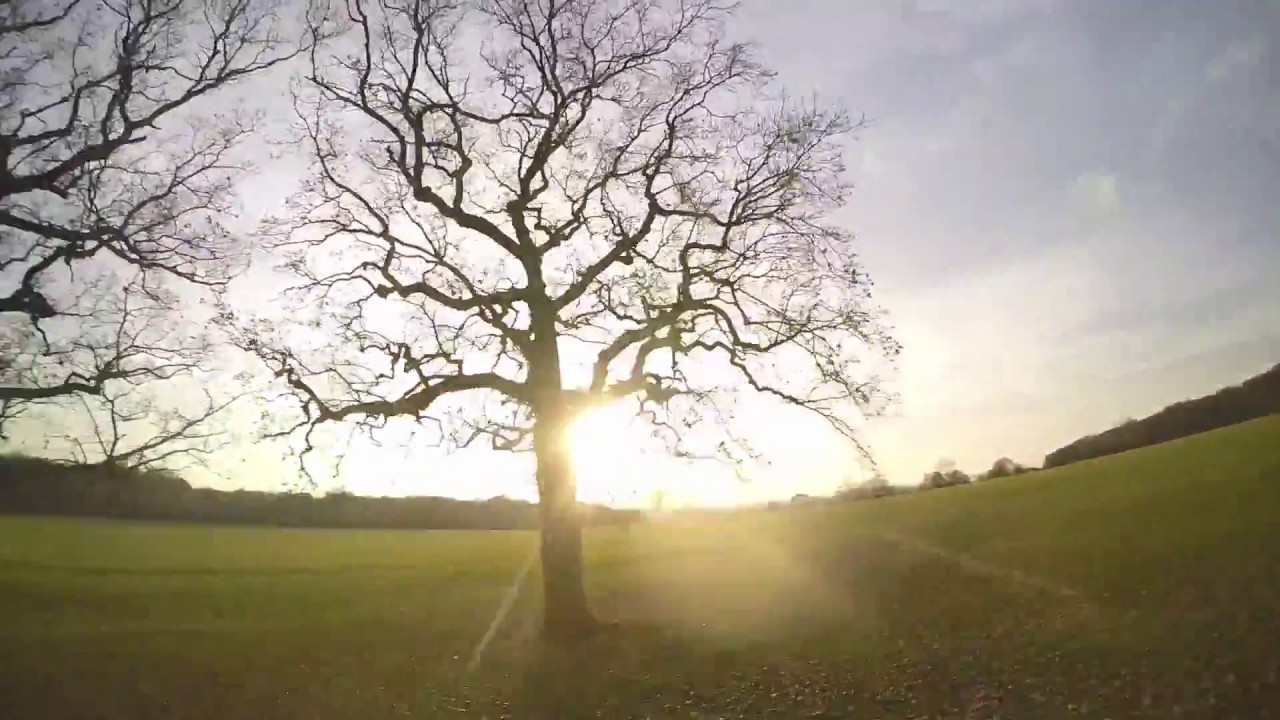 ZMR X 210 FPV | Getting Caught by the 'Ghost Branches'