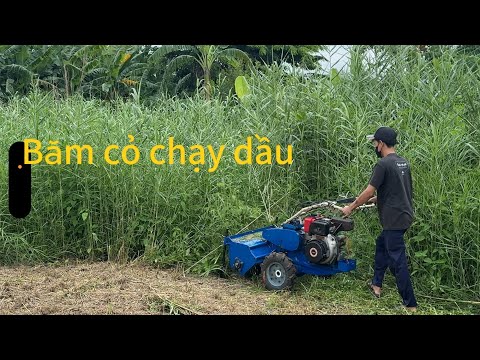 Máy băm cỏ chạy dầu yanmar L60 nhật bãi 0982449121