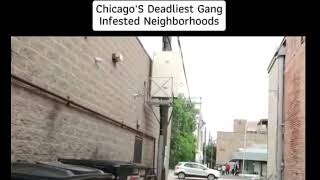 Chicago Gang Infested Neighborhoods 