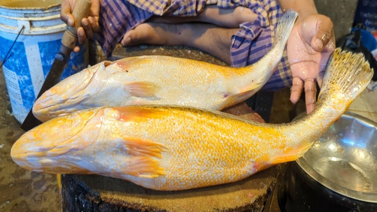 Amazing Poa Fish Cutting Skills Live In BD Fish Market | Fish Cutting Skills