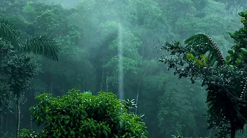 Rainforest Rain Sounds for Sleeping or Studying - White Noise Rainstorm 12 Hours