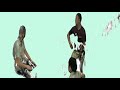 Fast direct multi-person radiance fields from sparse input with dense pose priors
