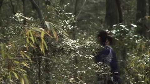 映画 「シュナイダー」 予告編