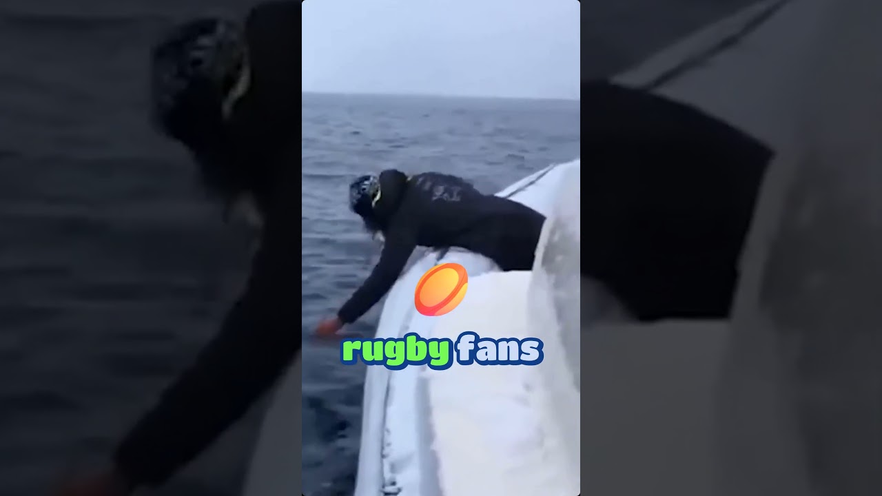 When whales play with humans phones, balls and the ethics of interacting  with wild whales - YouTube