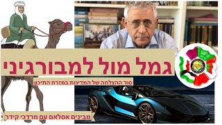 גמל מול למבורגיני סוד ההצלחה של המדינות במזרח התיכון ופתרון הבעיה הפלסטינית - תוכנית האמירויות