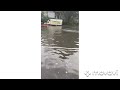 Потоп в Одессе 16 августа! Затопленные улицы и поваленные ветки! ⛈️