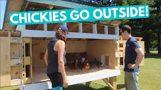 Moving the Chicks Outside to their Coop (Week 7 Raising Chicks)