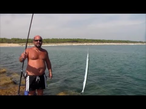 Pesca alle aguglie dalla scogliera a striscio con bombarda in mare  Adriatico - YouTube