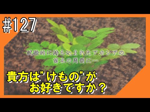 #127【けもフレ3】探検隊との冒険を再びお届け！！【つみき荘】