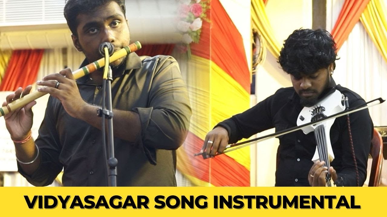 Malare Mounama Flute & Violin Duo Instrumental By V Music Band