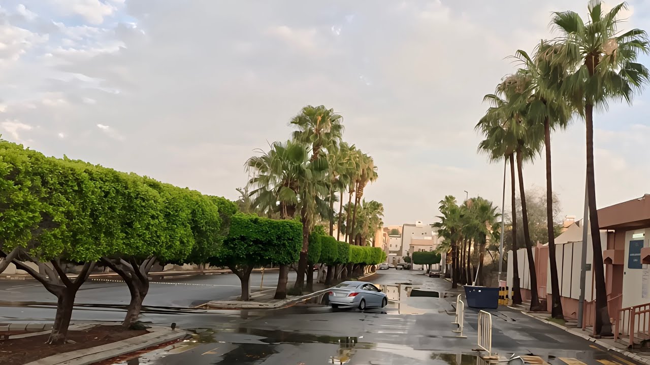 جولة الأربعاء 28 يناير، 2026 الطائف عروس المصائف 💐#الطائف #اكسبلور #سياحة #تصويري 