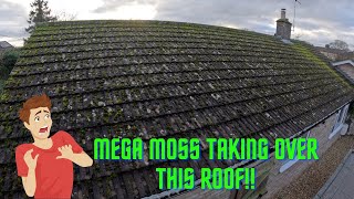 These Tiles Are Overwhelmed With Moss! I Stop It Dead Before It Consumes This Roof!!