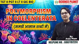 What is Polymorphism? | Polyp &amp; Medusa Forms | Coelenterata Biology Lecture