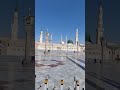 lajpal Nabi meray #naat #madina #haramsharif #umrah #travel #islamicstatus #viralvideo