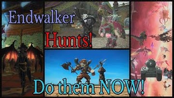FFXIV: Endwalker - Hunts! Do Them Now! (How/Why to get 2k Tombs in 2 Days or less)