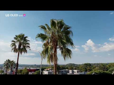 LG OLED evo AI | Brighter OLED. Smarter Entertainment