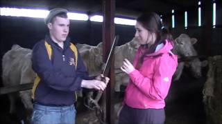 Ear To The Ground With Ardagh Foróige