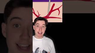 How A Mosquito Bite Works #Shorts