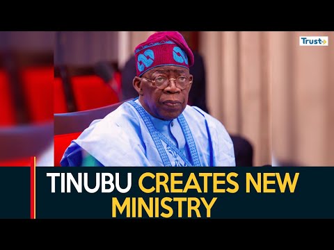 Tinubu Creates Livestock Development Ministry, To Name Minister Later