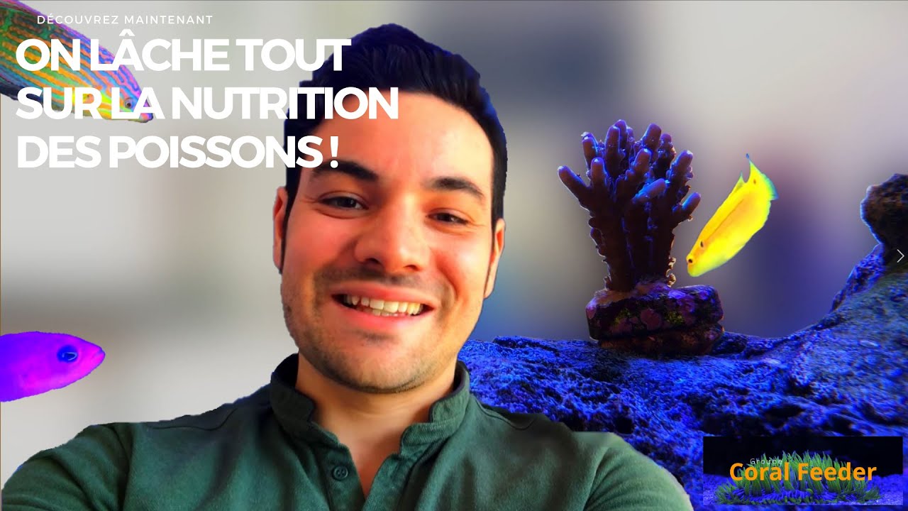On lâche tout sur la nutrition des poissons !
