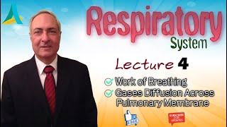 Dr.Nagi - Live Physiology - Lecture 84 - Respiration (4) - Work of breathing