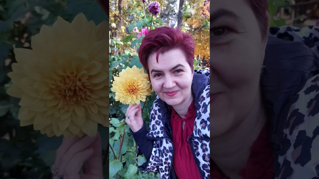 Am pășit &icirc;n Grădina Botanică din Iași cu sufletul deschis și dorința de a mă reconecta cu natura.