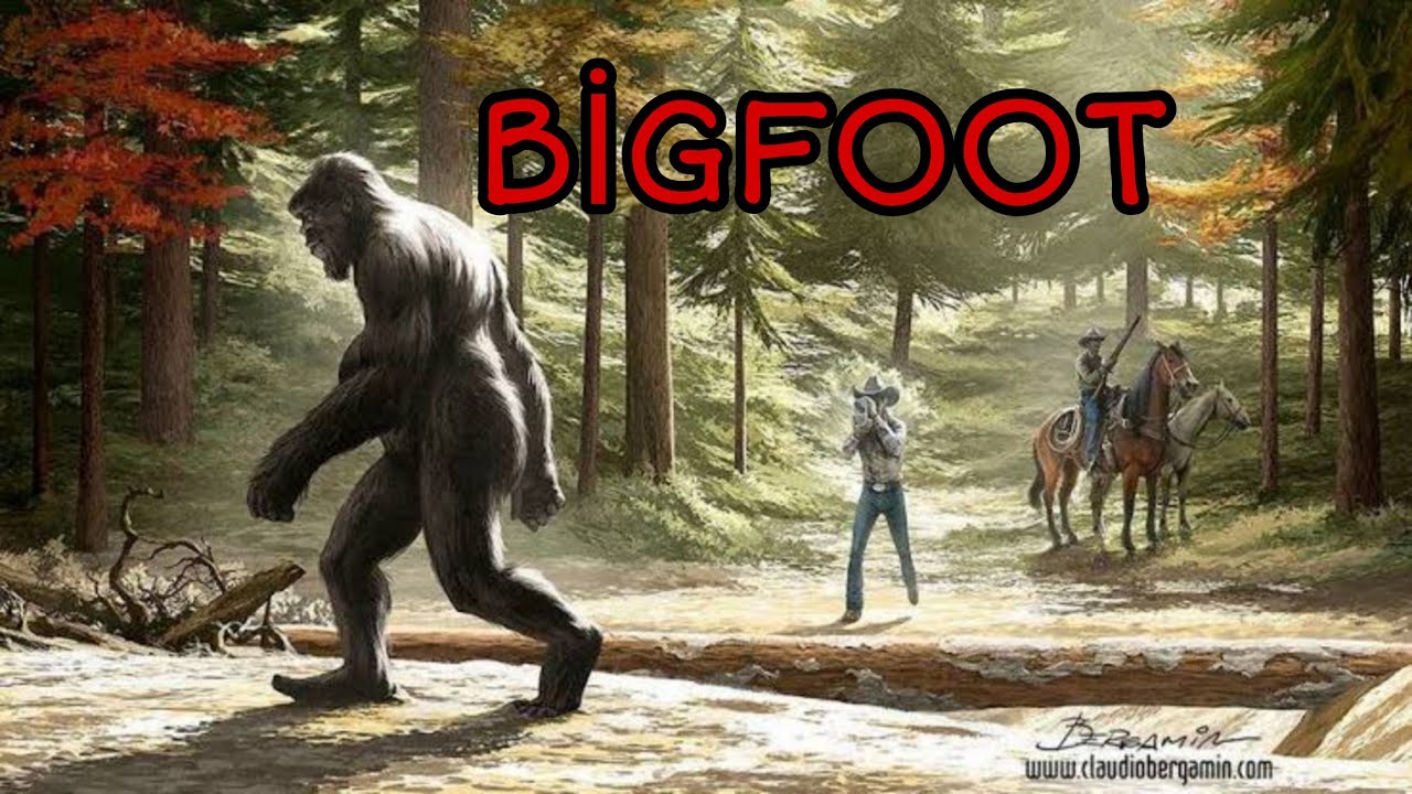 Bigfoot No Mori