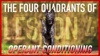 Understanding The Four Quadrants of Operant Conditioning. Dog Training